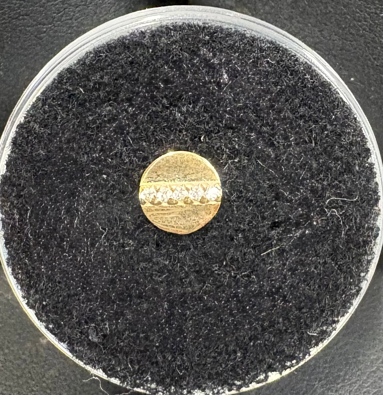 Maya Gold Eclipse