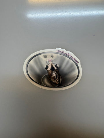 Possum sticker