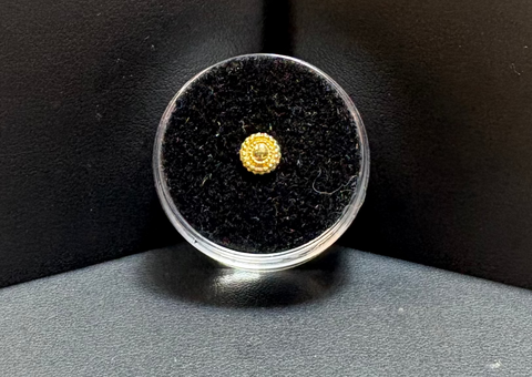 Regalia Tuesday Morning